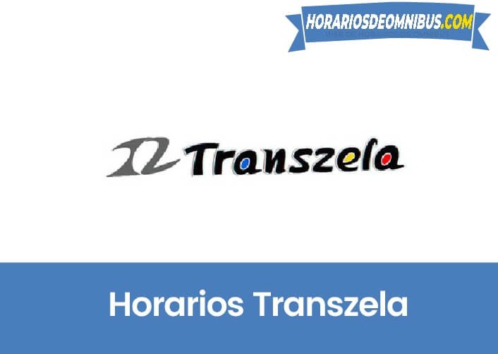 movil tours horario
